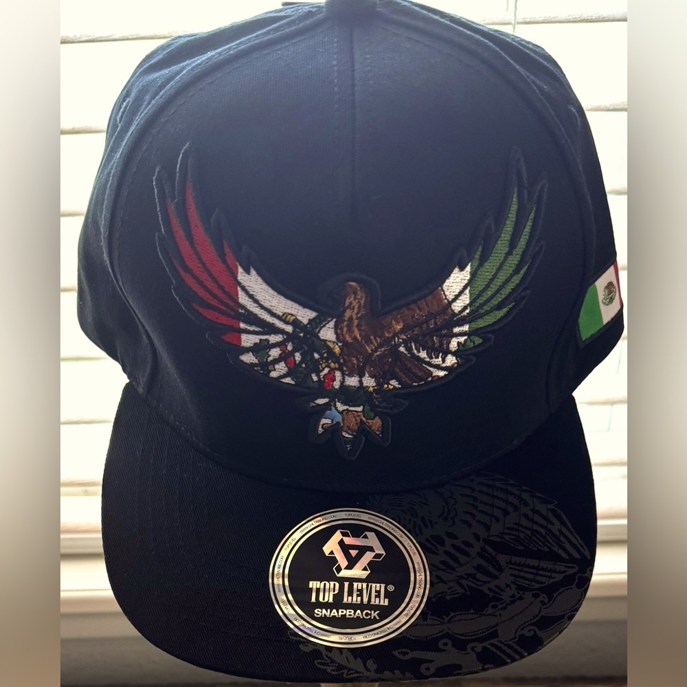 Black eagle multi-coloured Mexican flag snapback hat 100% cotton